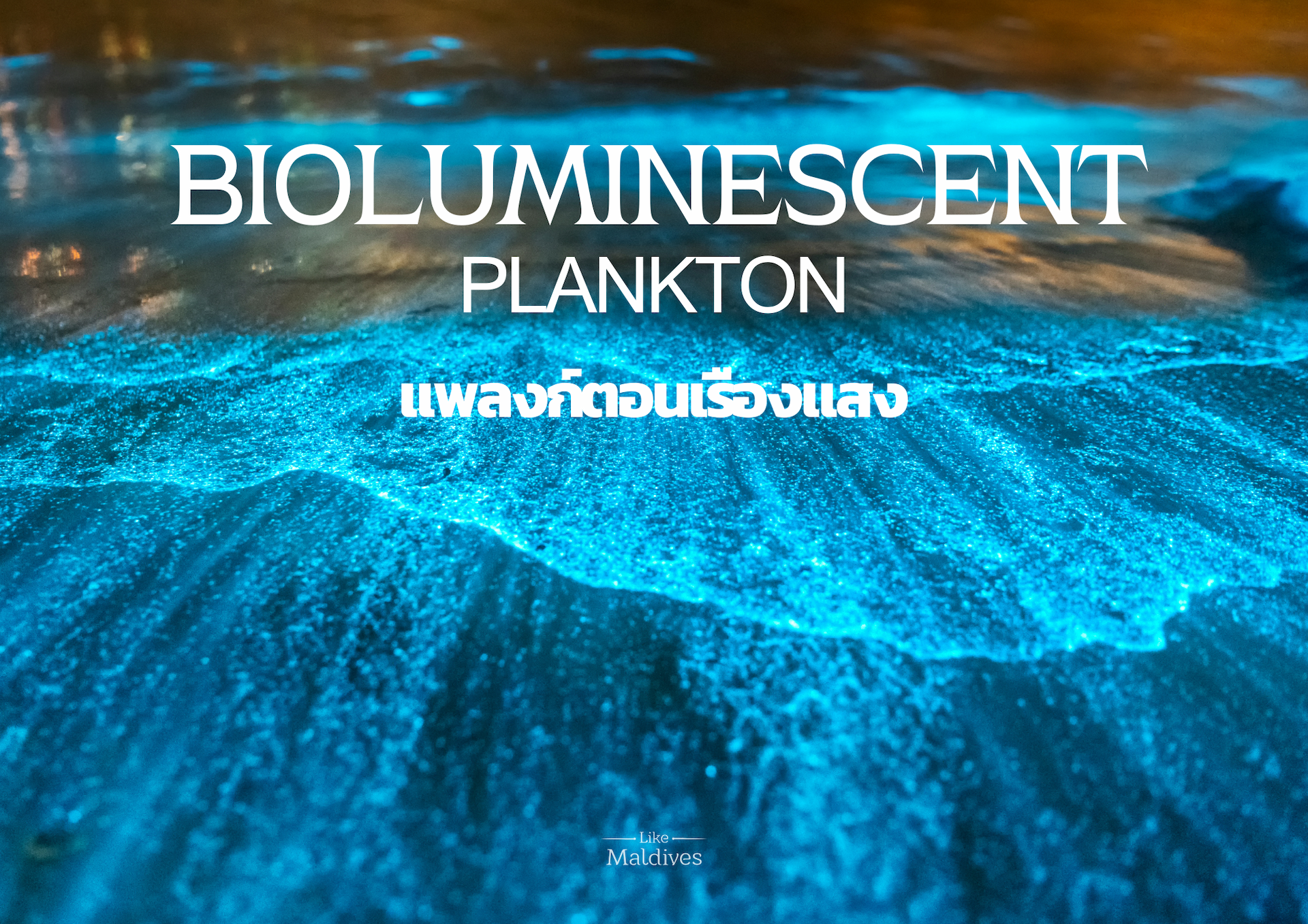 Bioluminescent-Plankton-Maldives