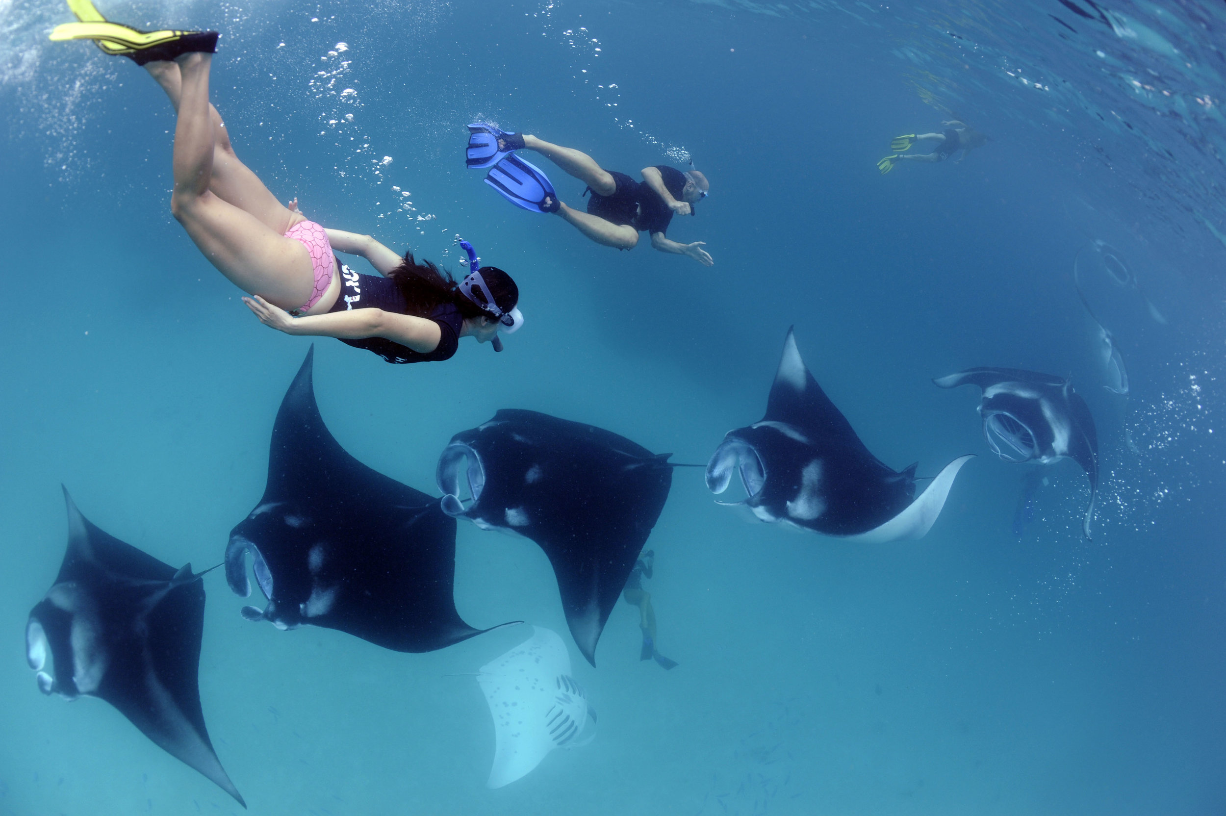 snorkeling-manta-lux-south-ari-atoll