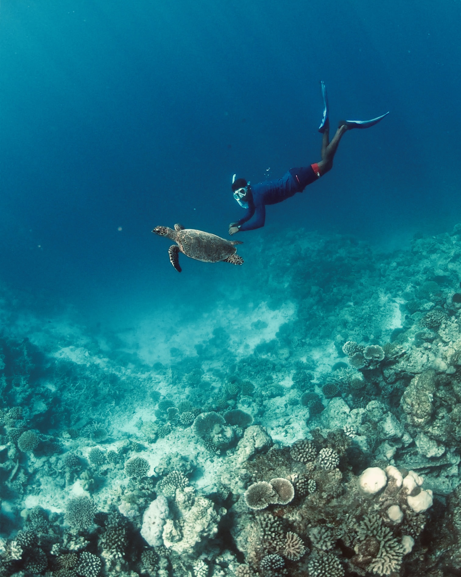 Niyama Private Islands Maldives Snorkeling