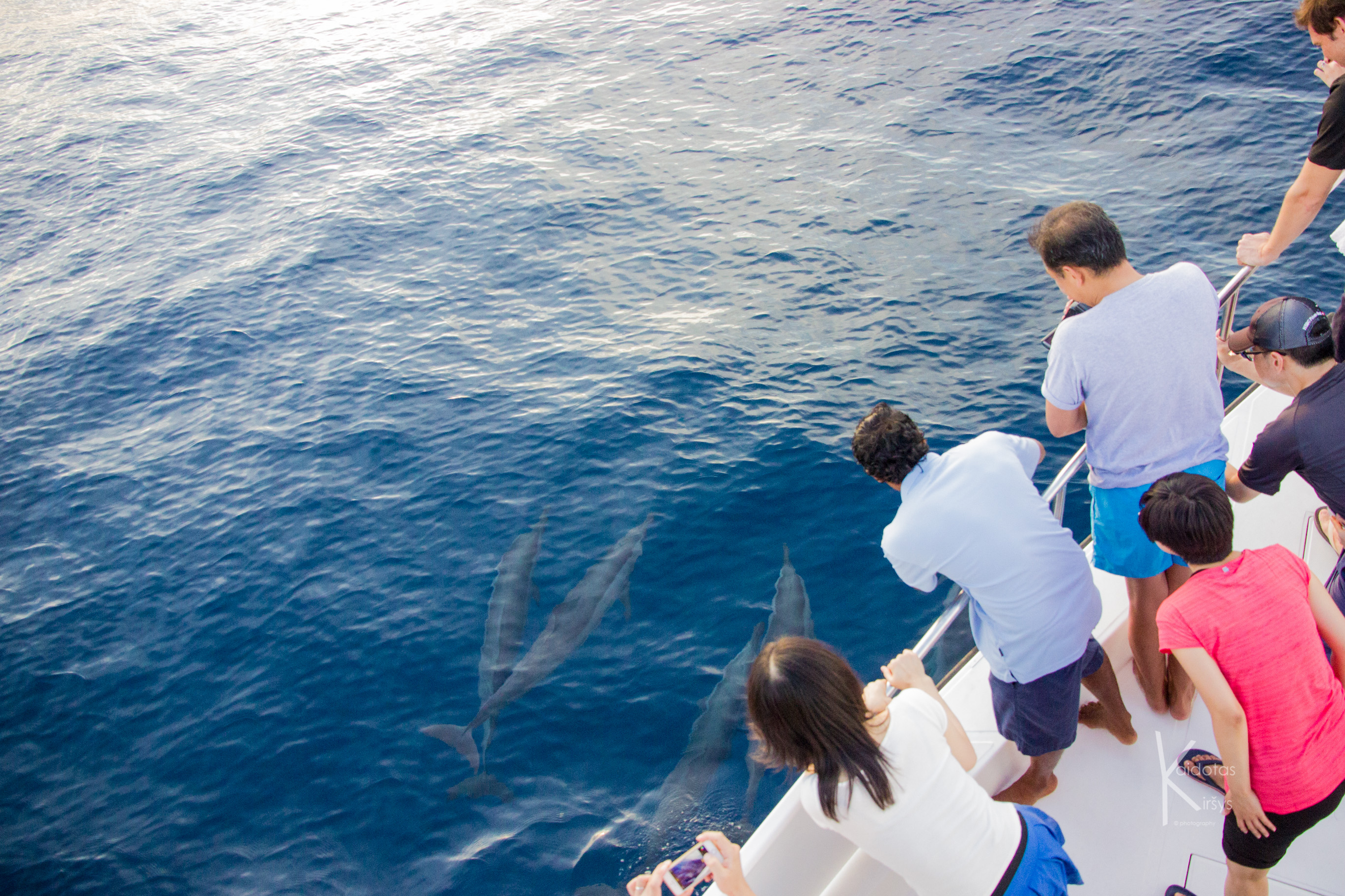 Gili_Lankanfushi_Dolphin_Cruise