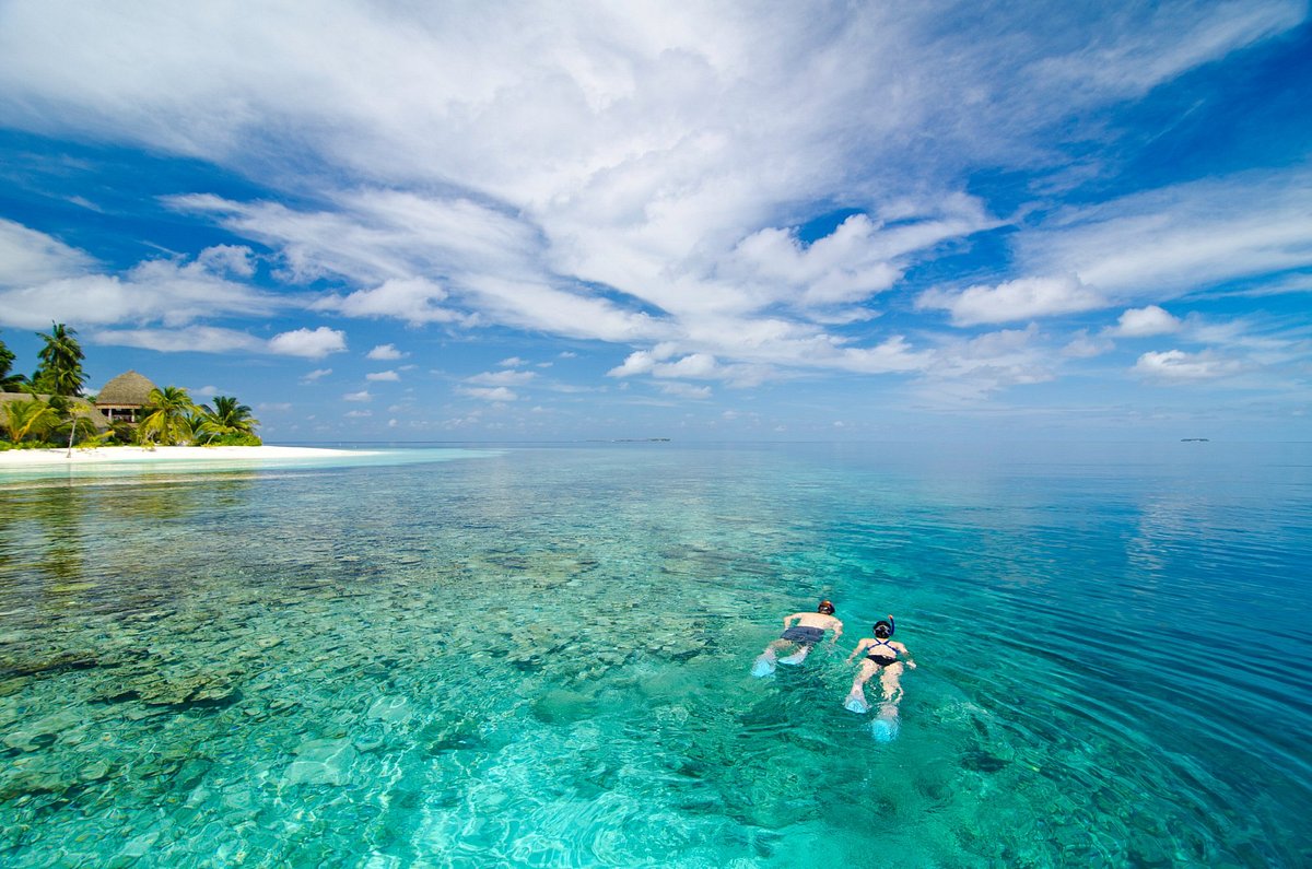 Snorkeling