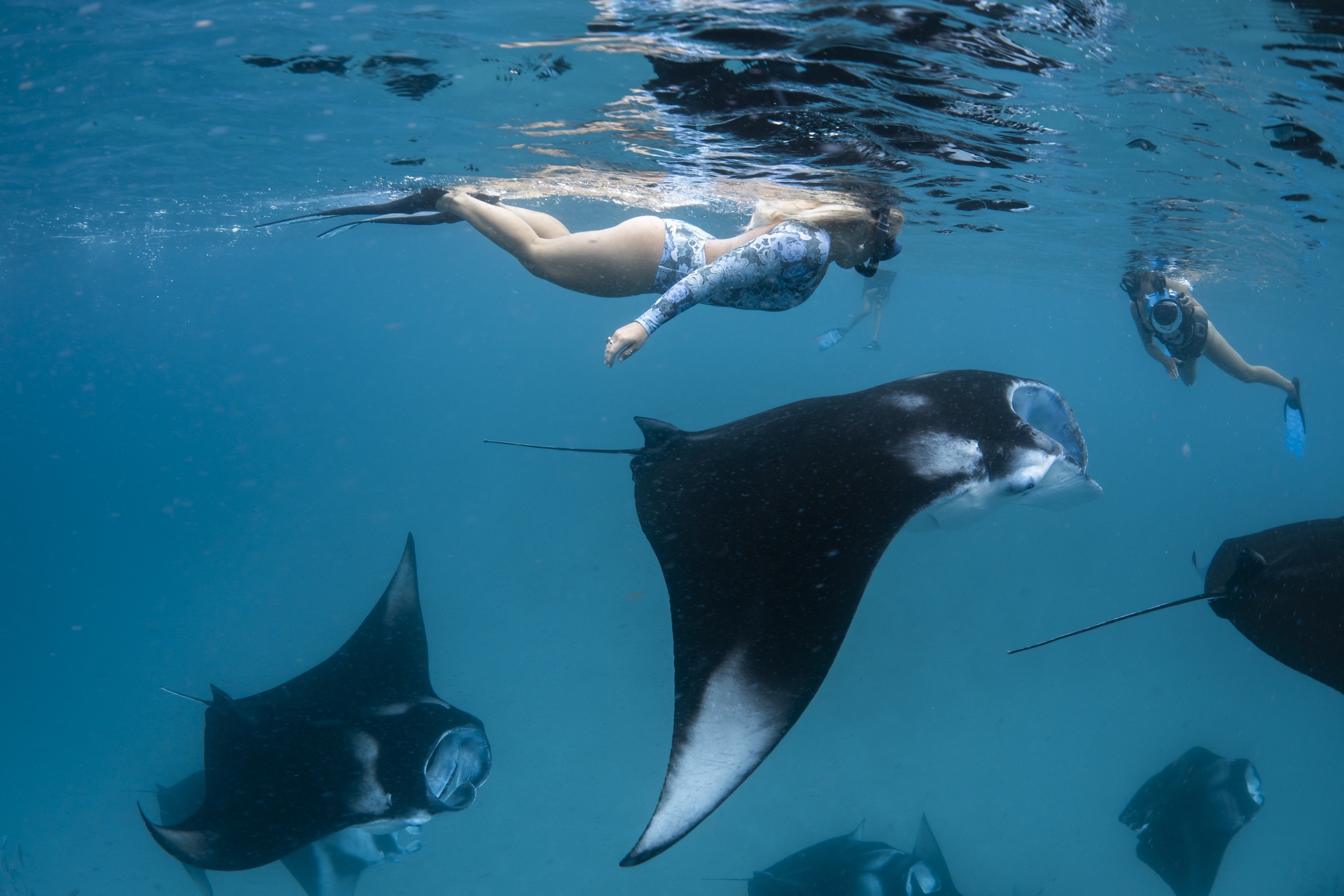 Dreamland_maldives_Manta_Trip_Hanifaru_Bay_2