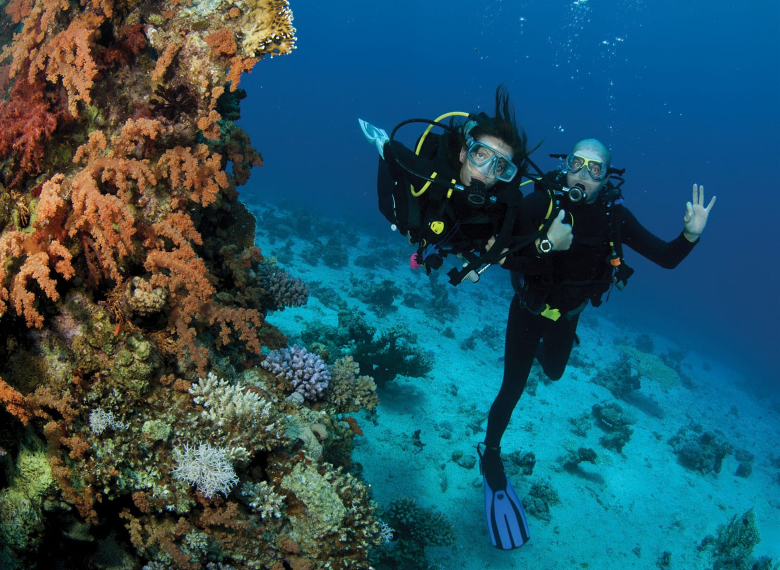 Safari_Maldives_Diving_2