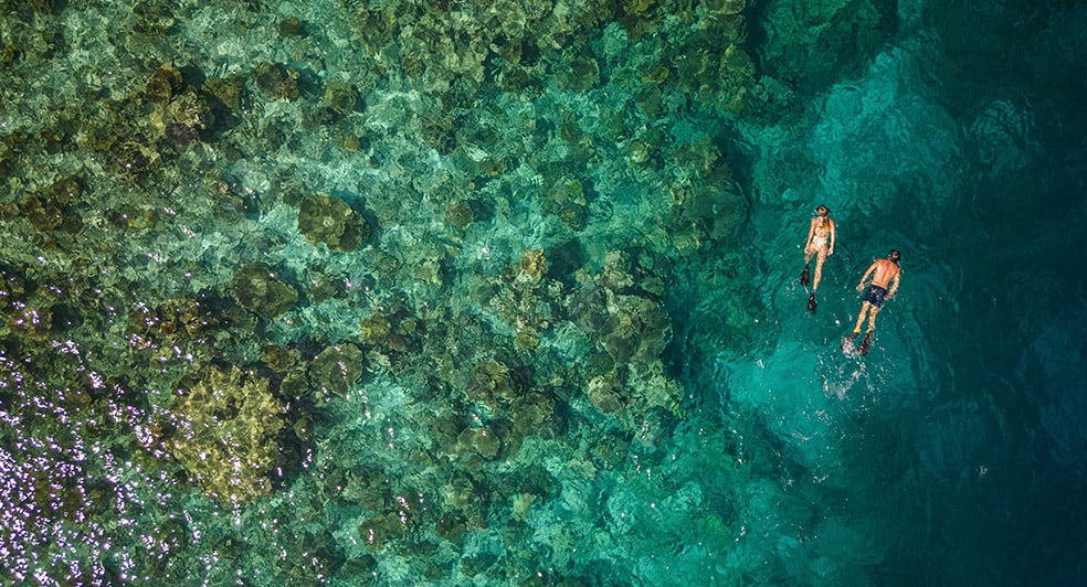 NH_Collection_Maldives_Havodda_Dolphin_Snorkeling