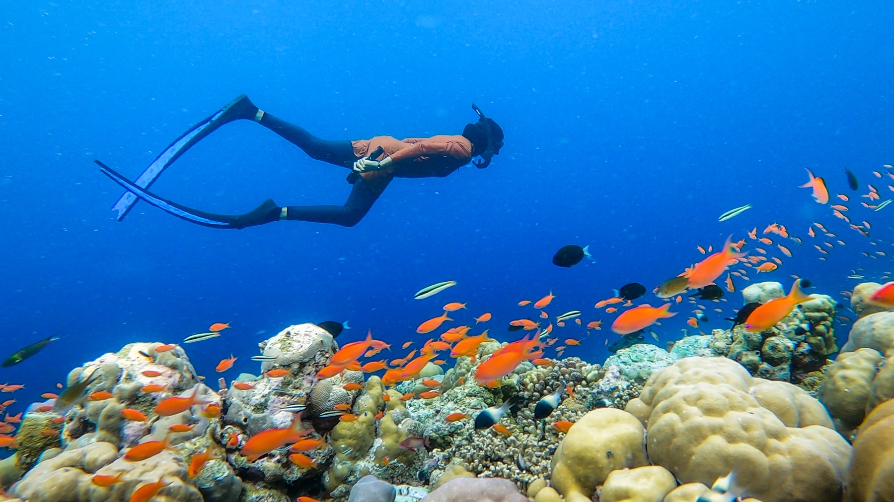 Soeva_Fushi_Snorkeling