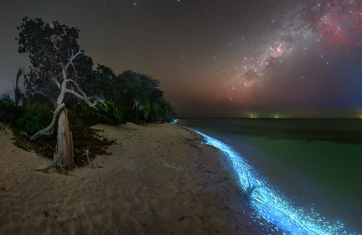 Bioluminescent-Plankton-in-Thoddoo-island