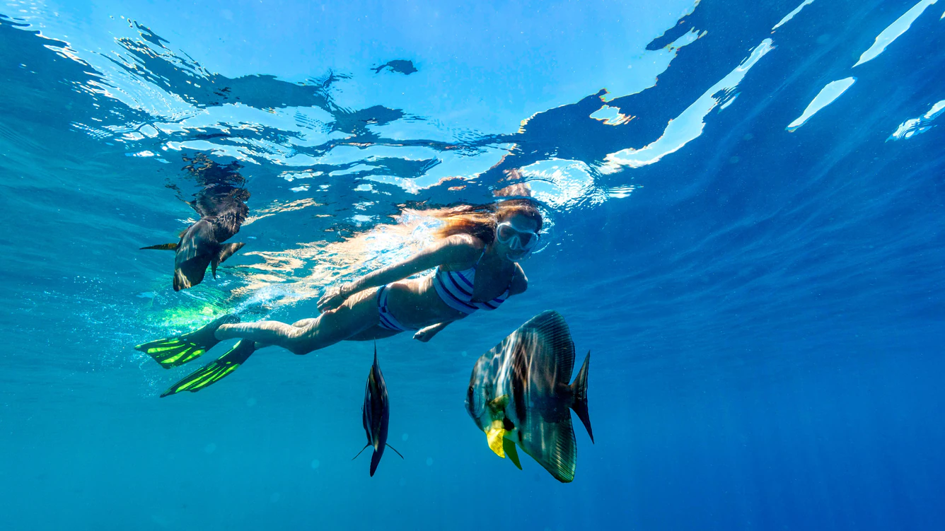 Sheraton_Maldives_Full_Moon_resort_and_spa_Snorkeling