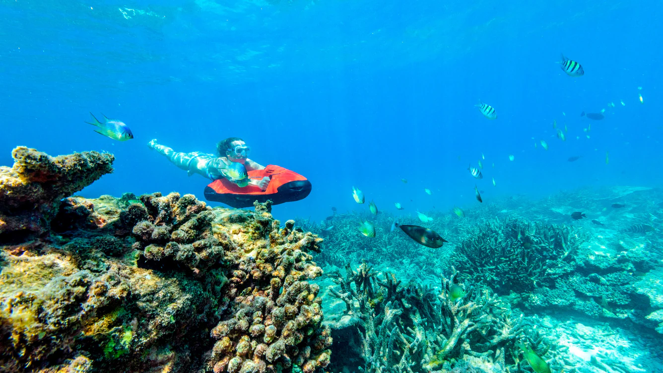 Sheraton_Maldives_Full_Moon_resort_and_spa_Water_Sport