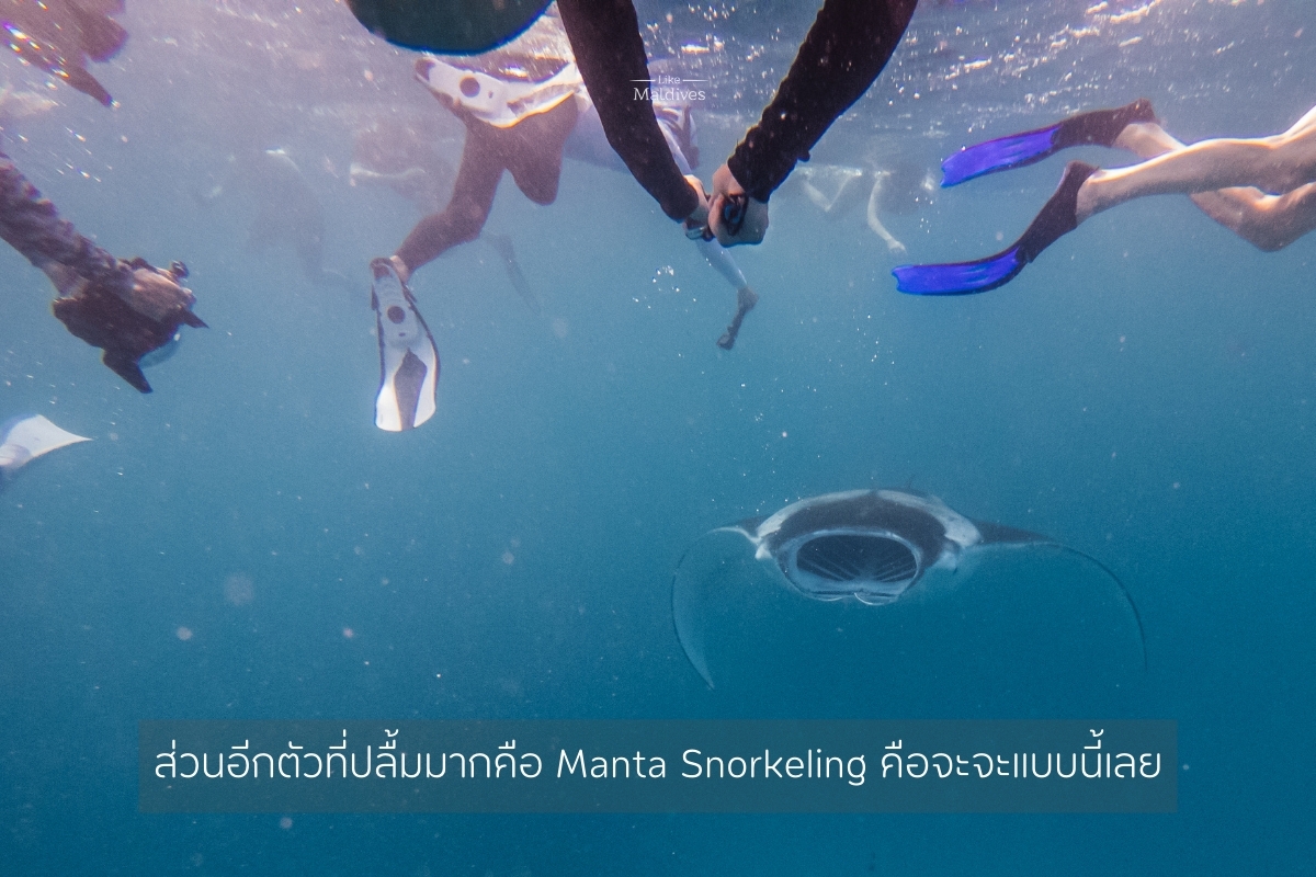 Barcelo_Maldives_Manta_Snorkeling_1