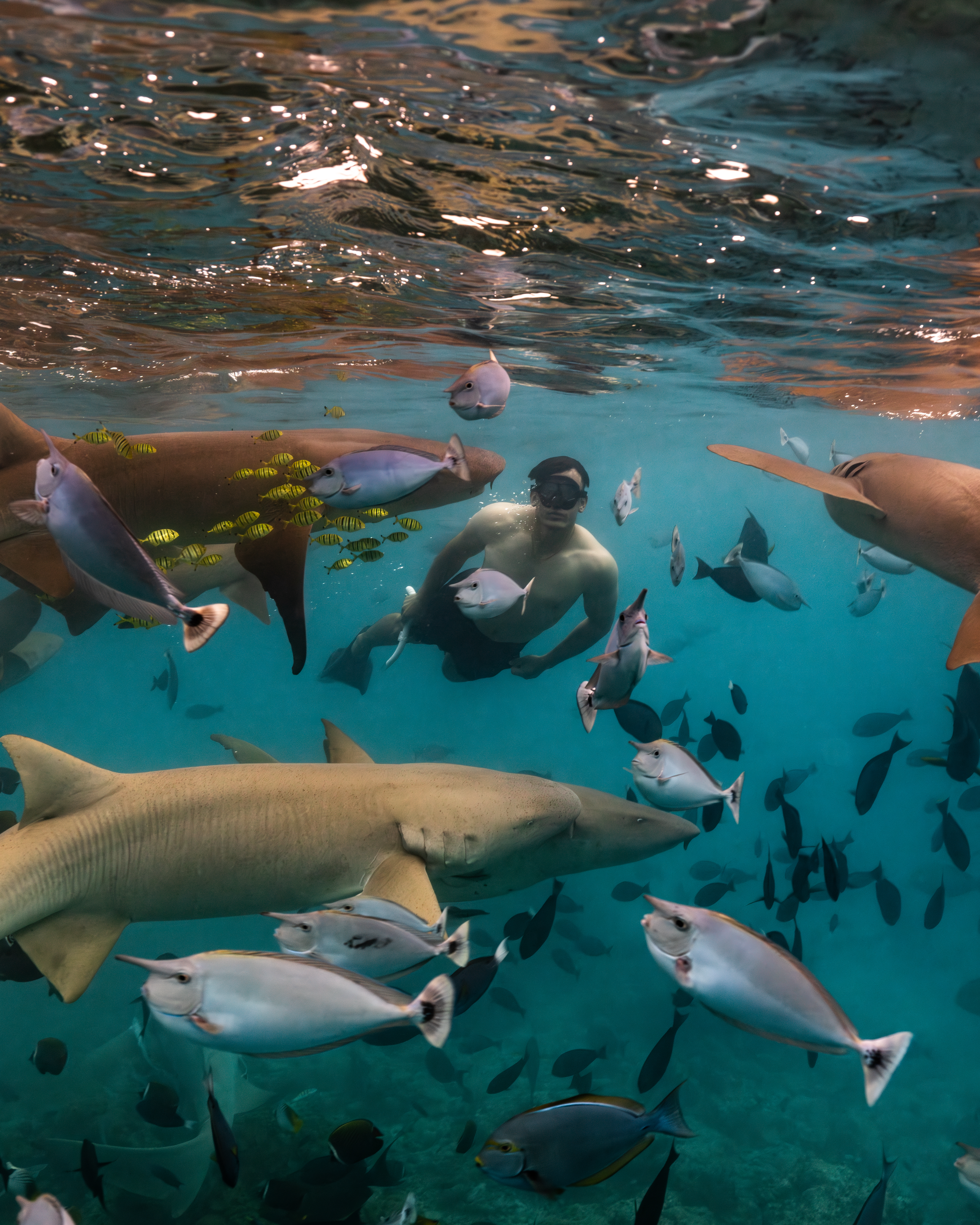 So/Maldives_Snorkeling