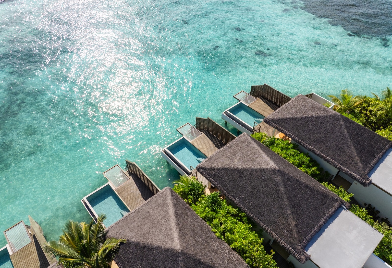 dusitD2-Feydhoo-Maldives-Waterfront-Pool-Villa-1