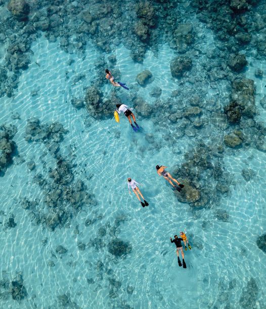 Como-Cocoa-Island-House-Reef-Snorkeling