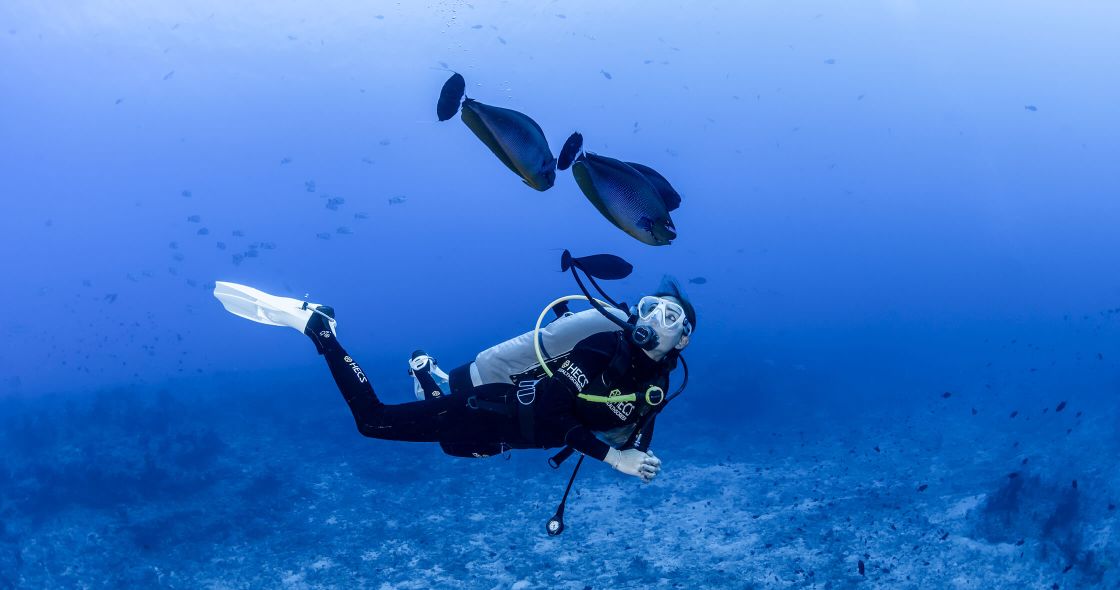 Como-Cocoa-Island-Diving