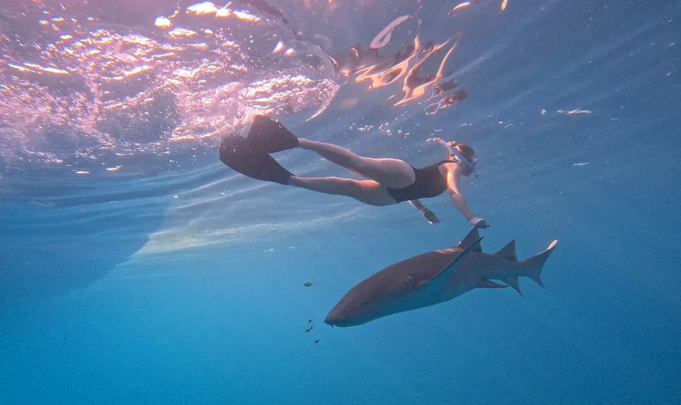 One-&-Only-Reethi-Rah-Maldives-Snorkeling