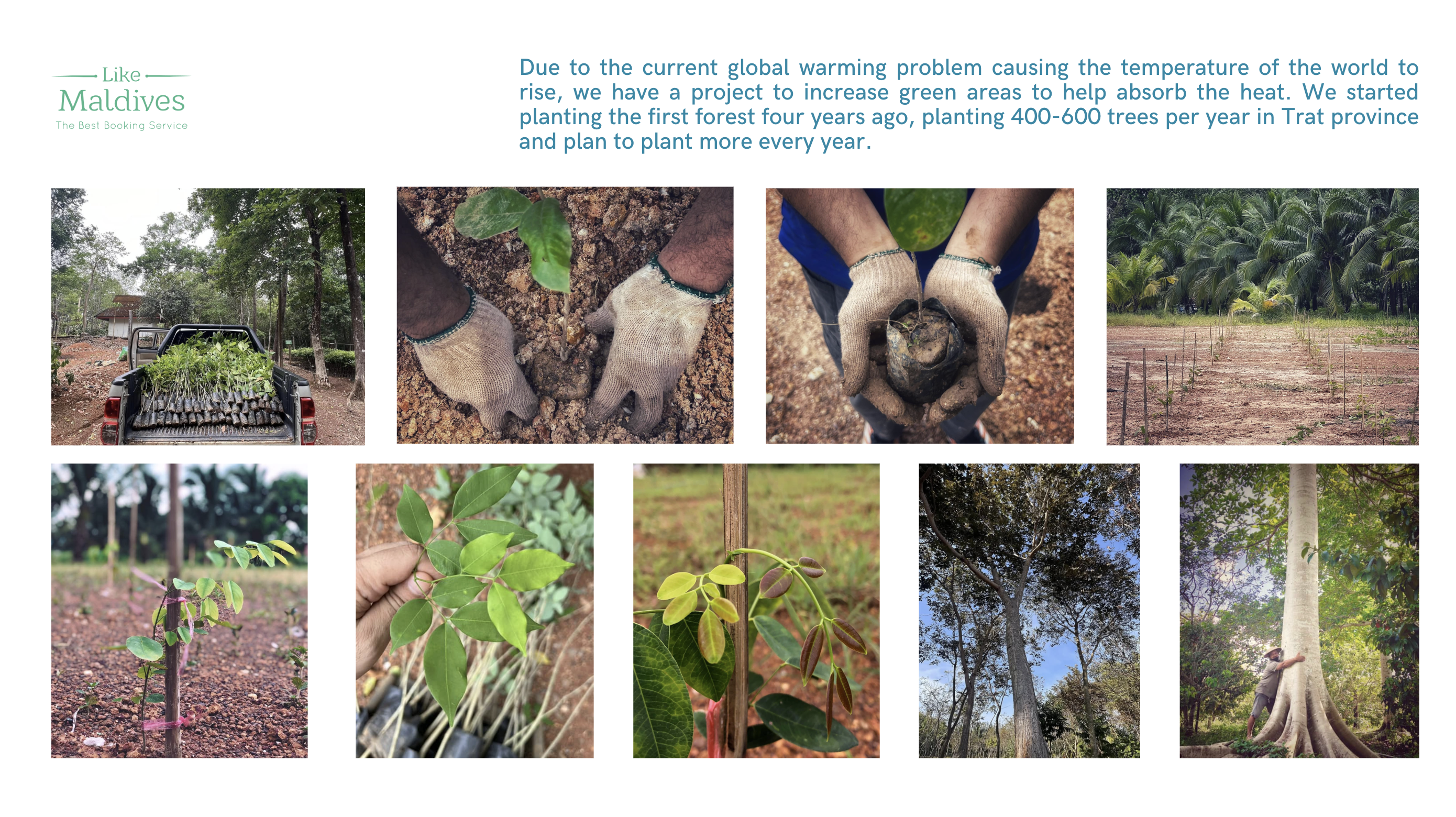 Returning-to-Society-and-Nature