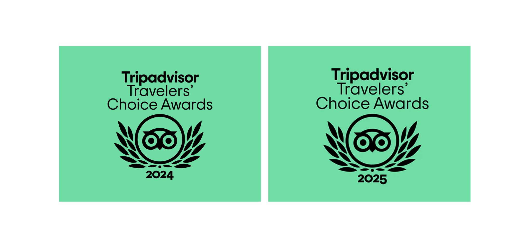TripAdvisor-Award-for-2-consecutive-years