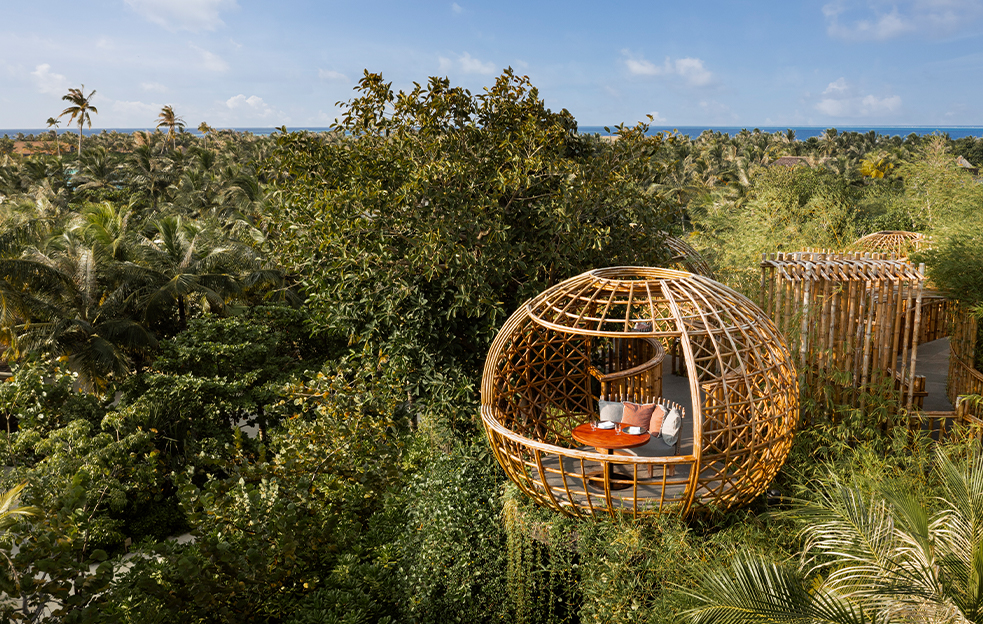 Waldorf-Astoria-Maldives-Terra-2