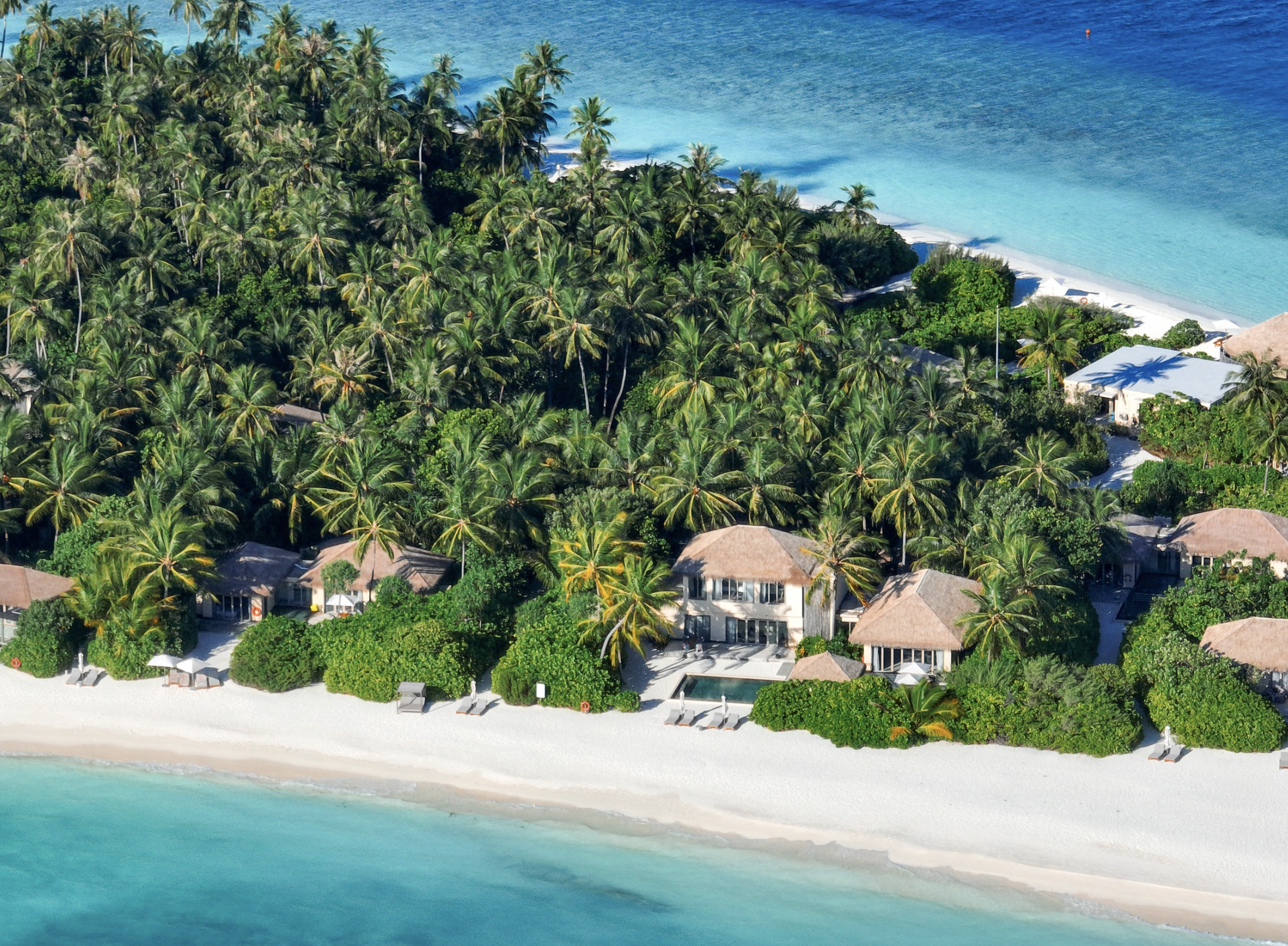 Nice-Beach-and-coconut-tree